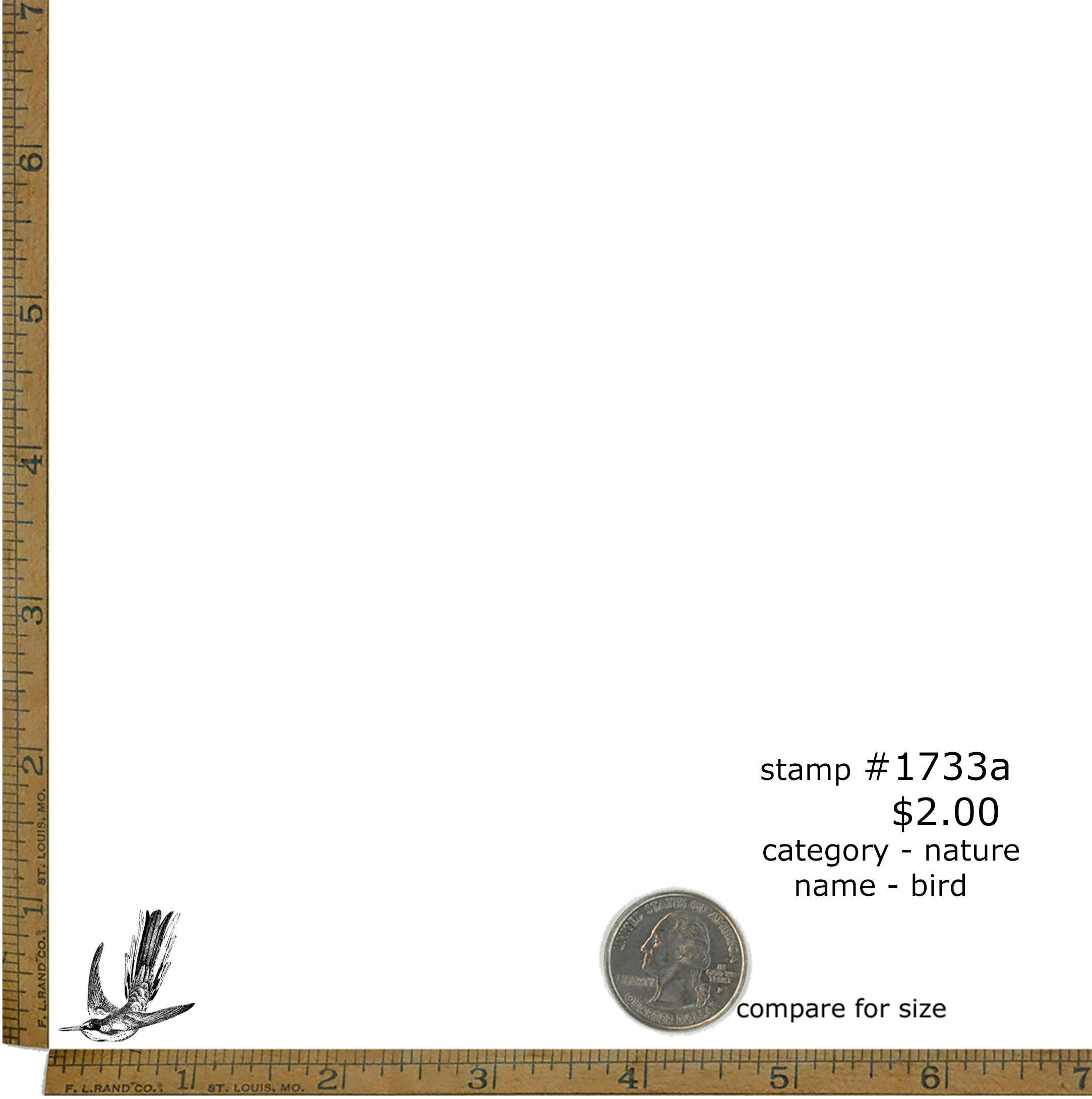 #1733a - Bird - Nature